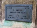 image of grave number 401189